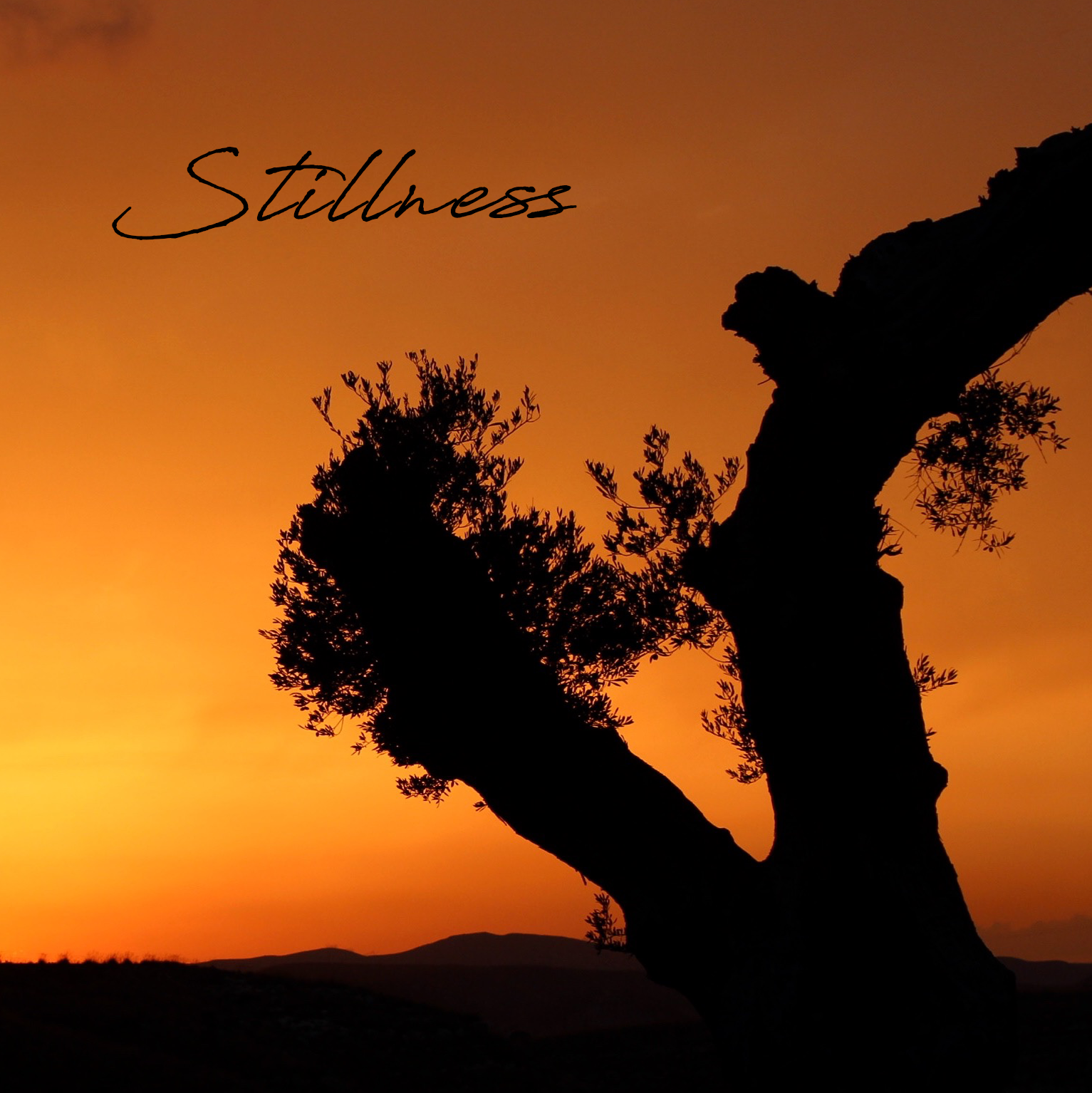 stillness storytelling